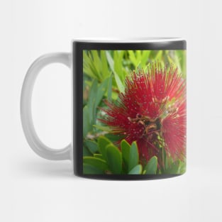 Red Bottlebrush Flower Mug